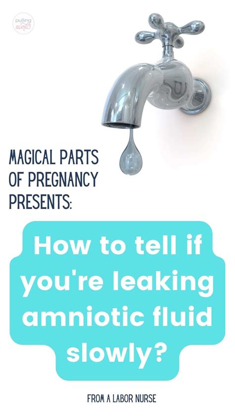 slow leak of amniotic fluid|Leaking Amniotic Fluid 